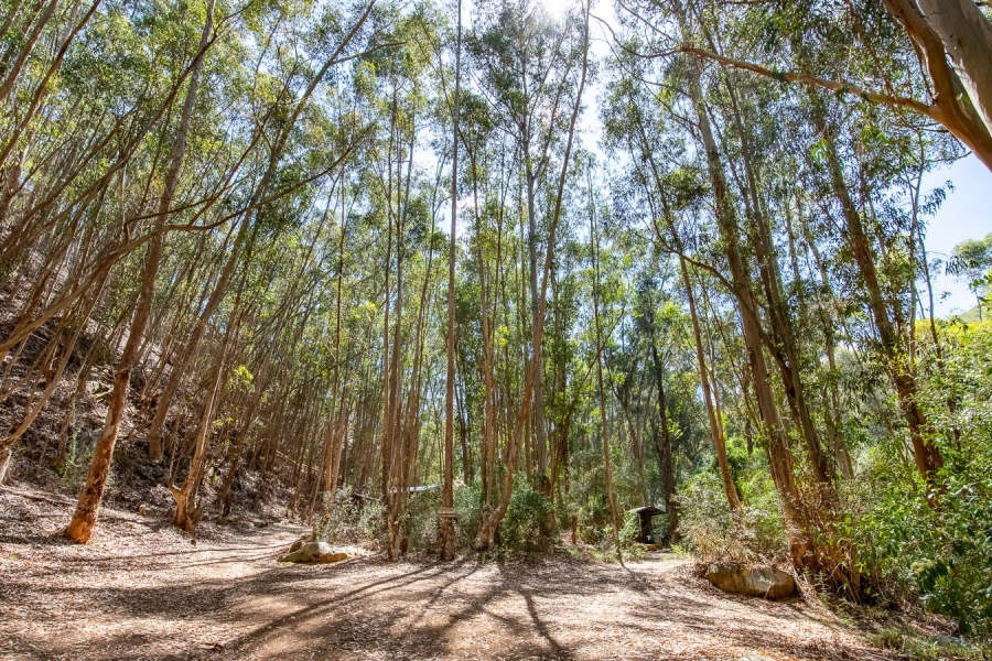 Commercial Property for Sale in Robertson Rural Western Cape